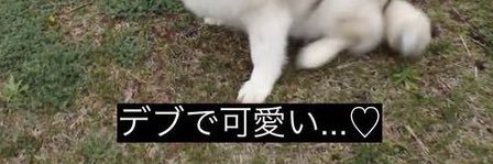 arashi_fyp's profile banner image