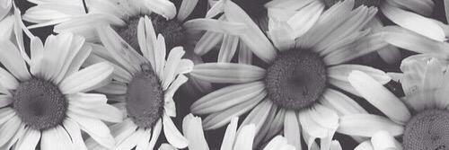 inezia_a's profile banner image