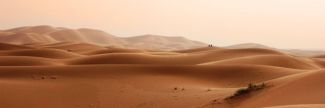 Tatiana Shelbourne banner