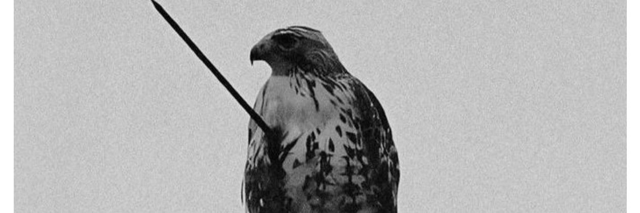 GiovanniSalg94's profile banner image