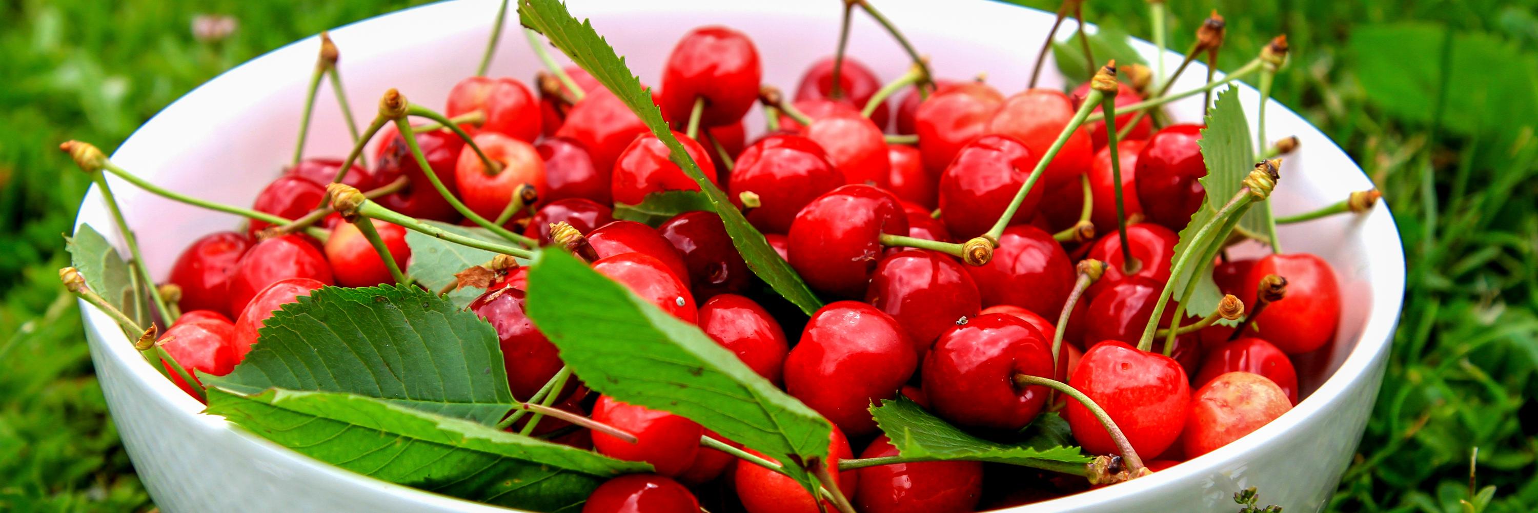 HUNutrition's profile banner image