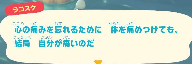 🎡 banner