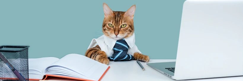 Puss 🐾 banner