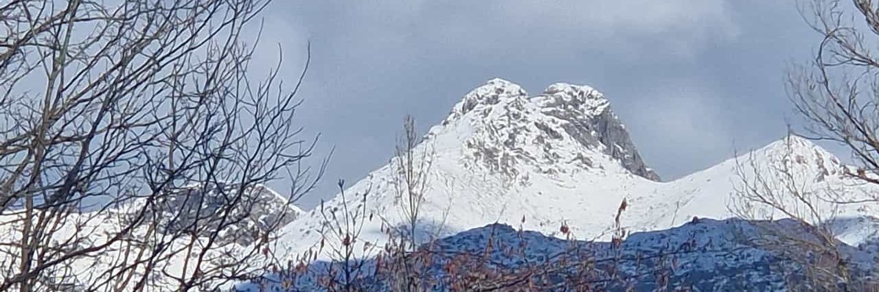 ar.chema 🇪🇺🦁 banner