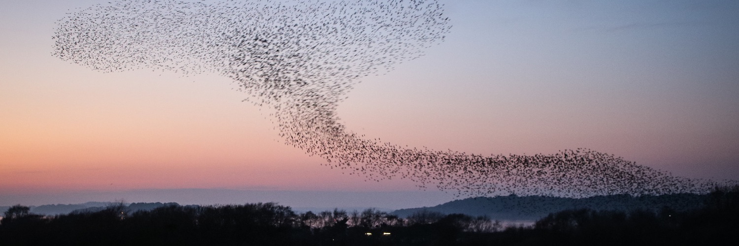 AssemblingLife banner