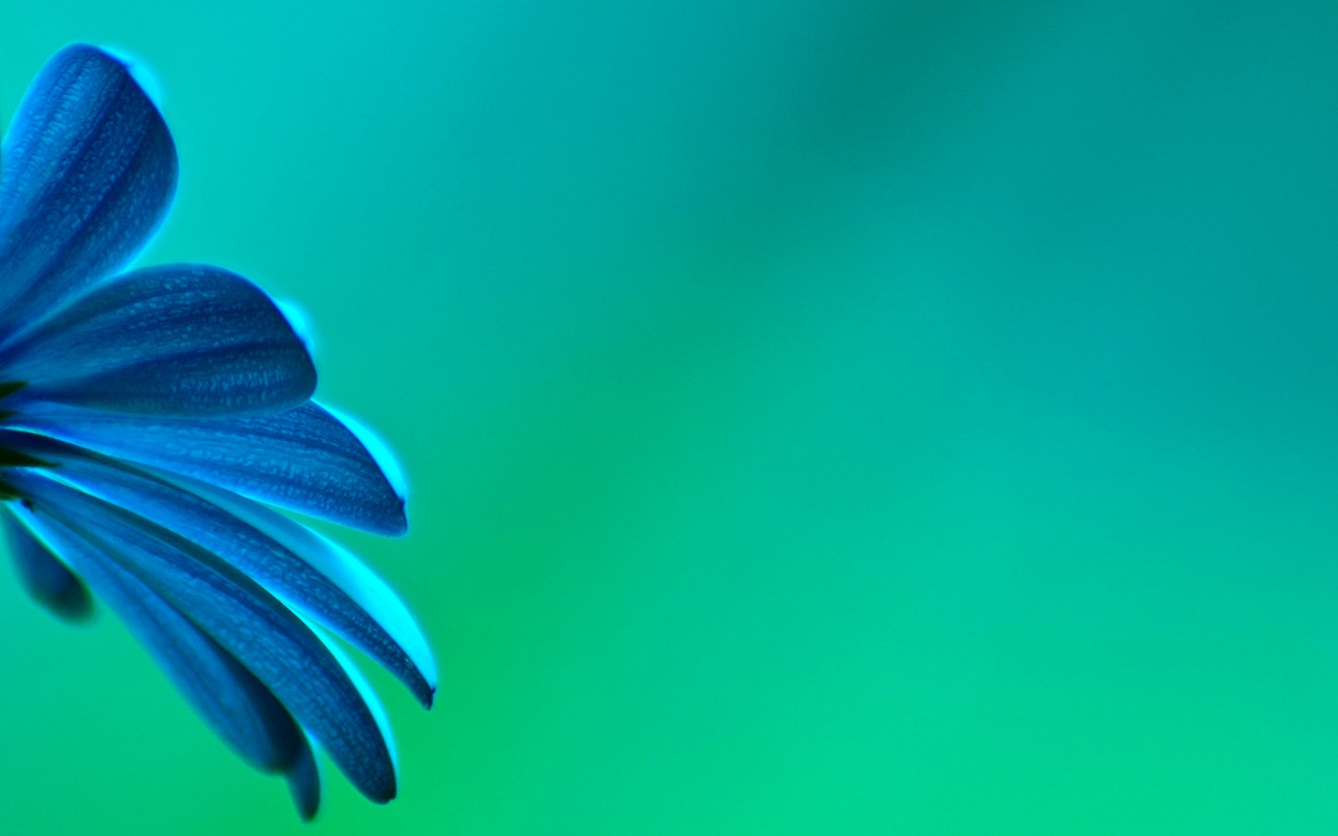 LydiaSumme17459's profile banner image