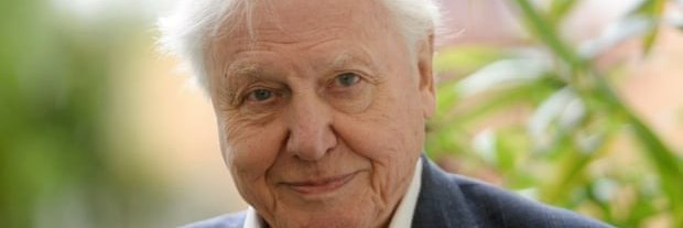 David Attenborough Fans banner