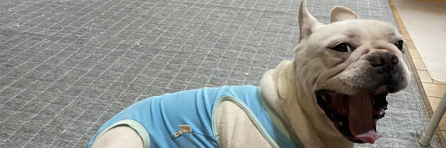 wingzernm's profile banner image