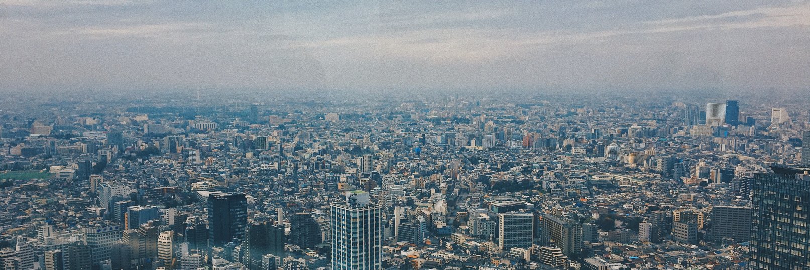bellarazzi's profile banner image