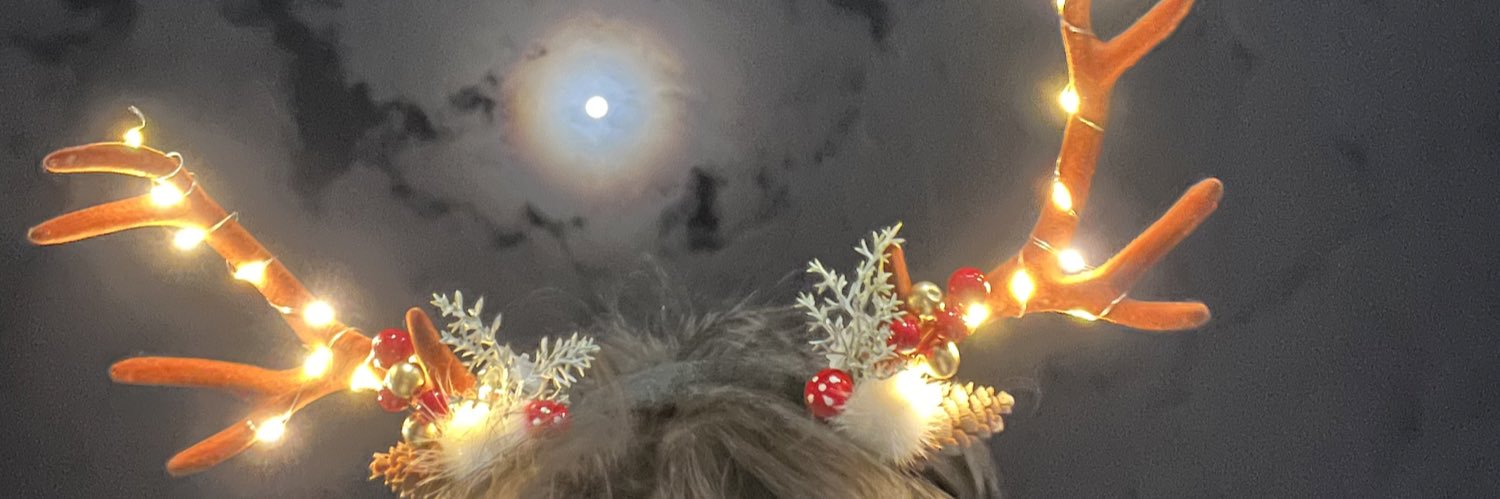 ; banner