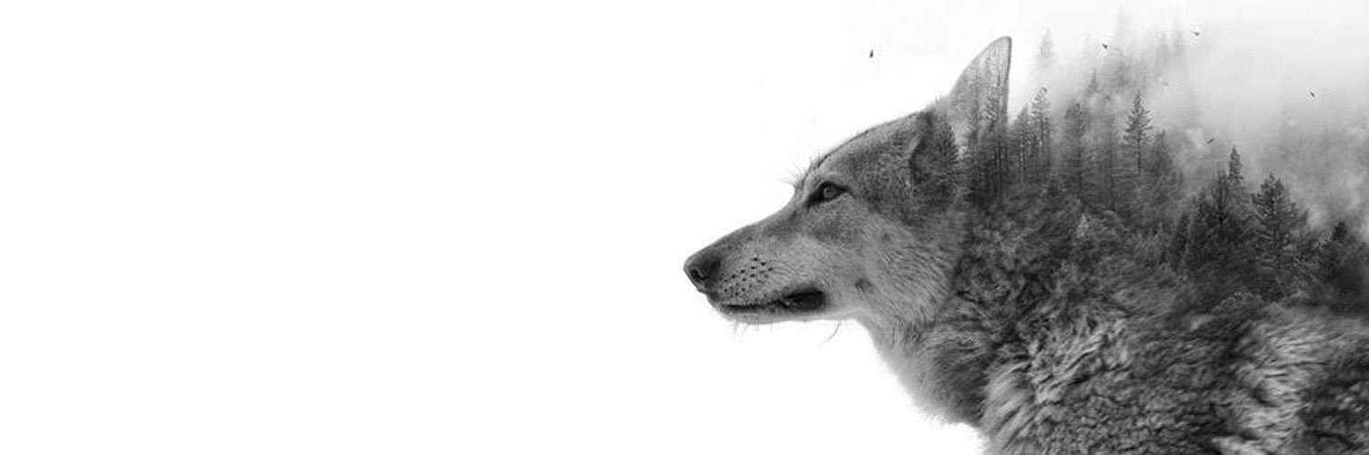 doganka1907's profile banner image