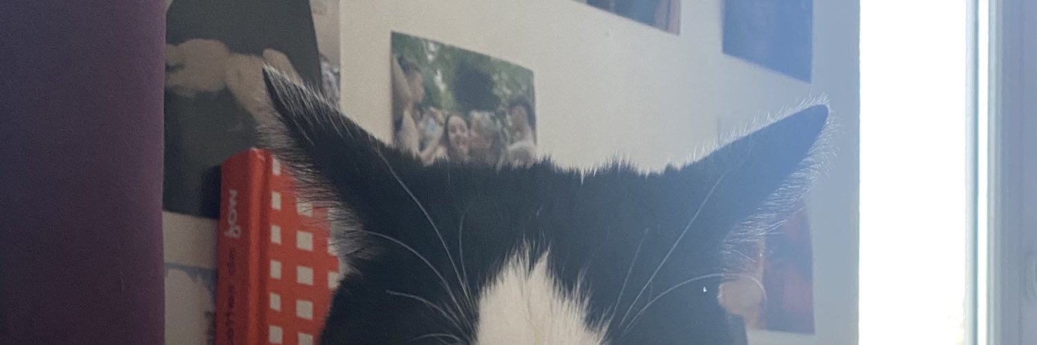 Vickybicky03's profile banner image
