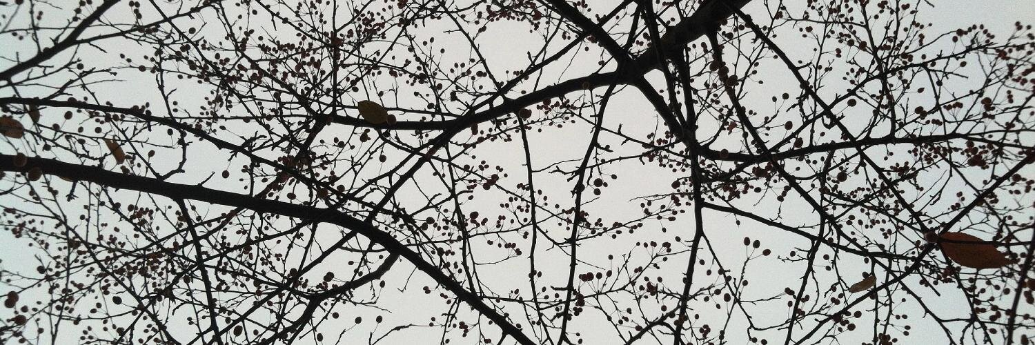 RachelONei11's profile banner image
