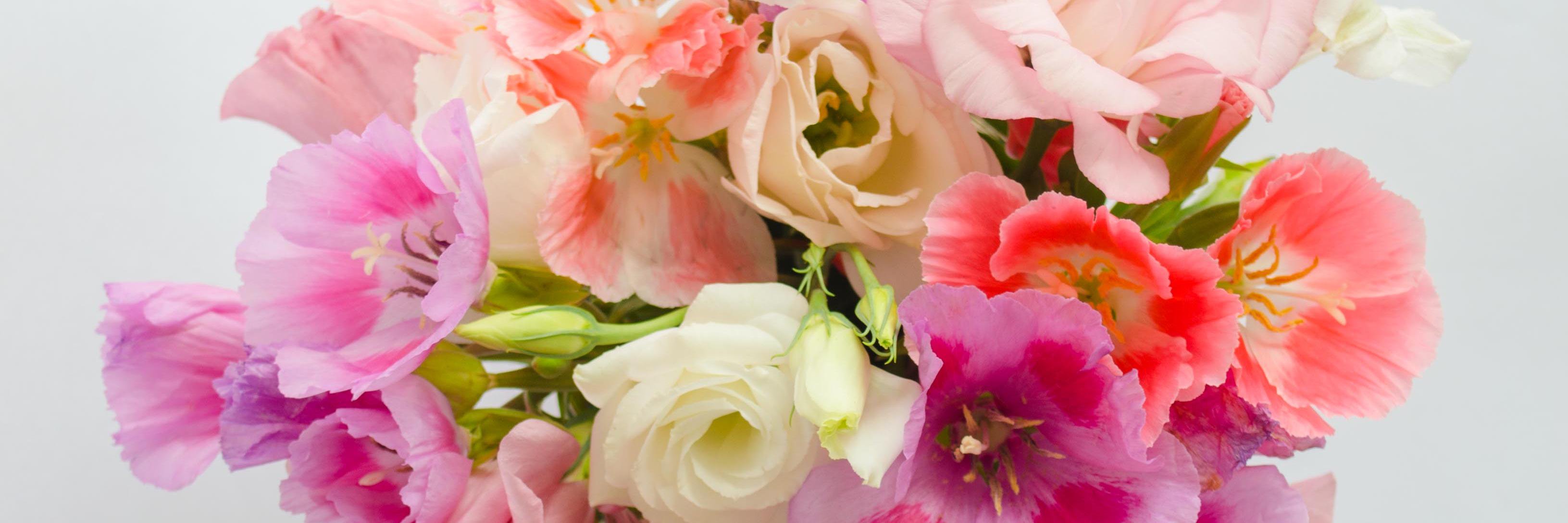 Maca Gonzalez Cazon banner