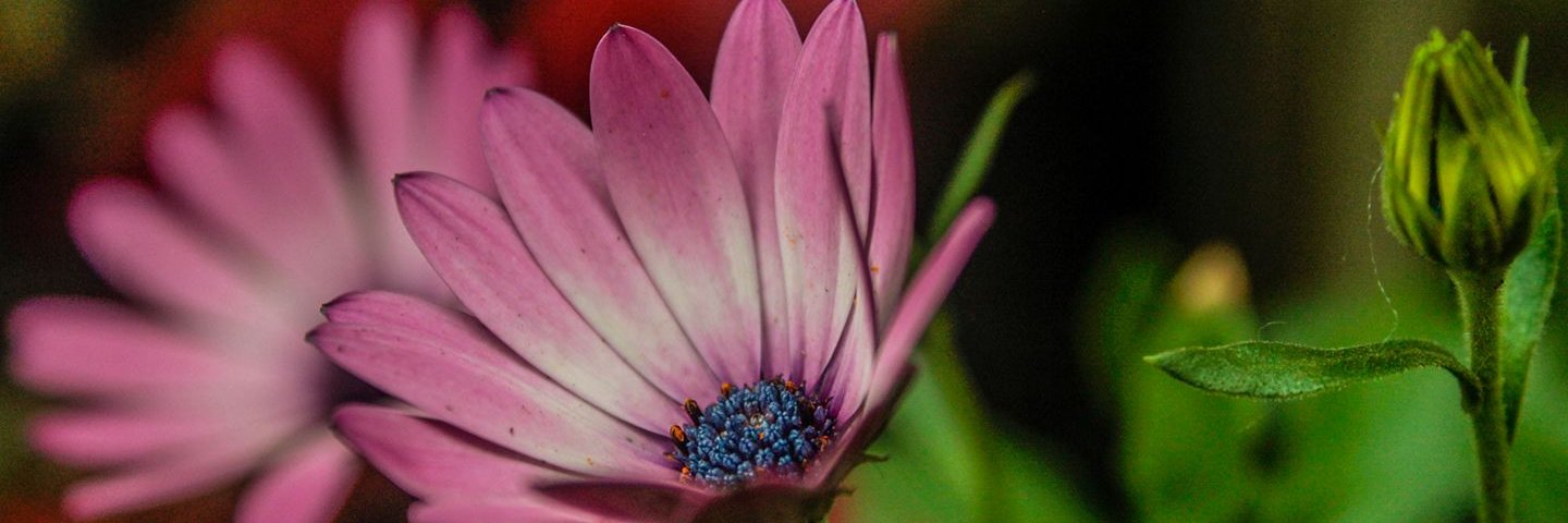 ____loop_zz's profile banner image