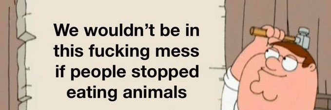 Mo Brock #Pigoneer #VeganLandMovement 🌻💛💙 🇺🇦 banner