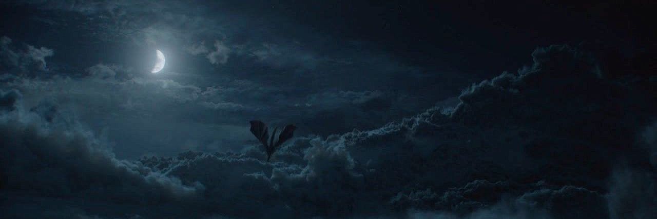 SHHO_94's profile banner image