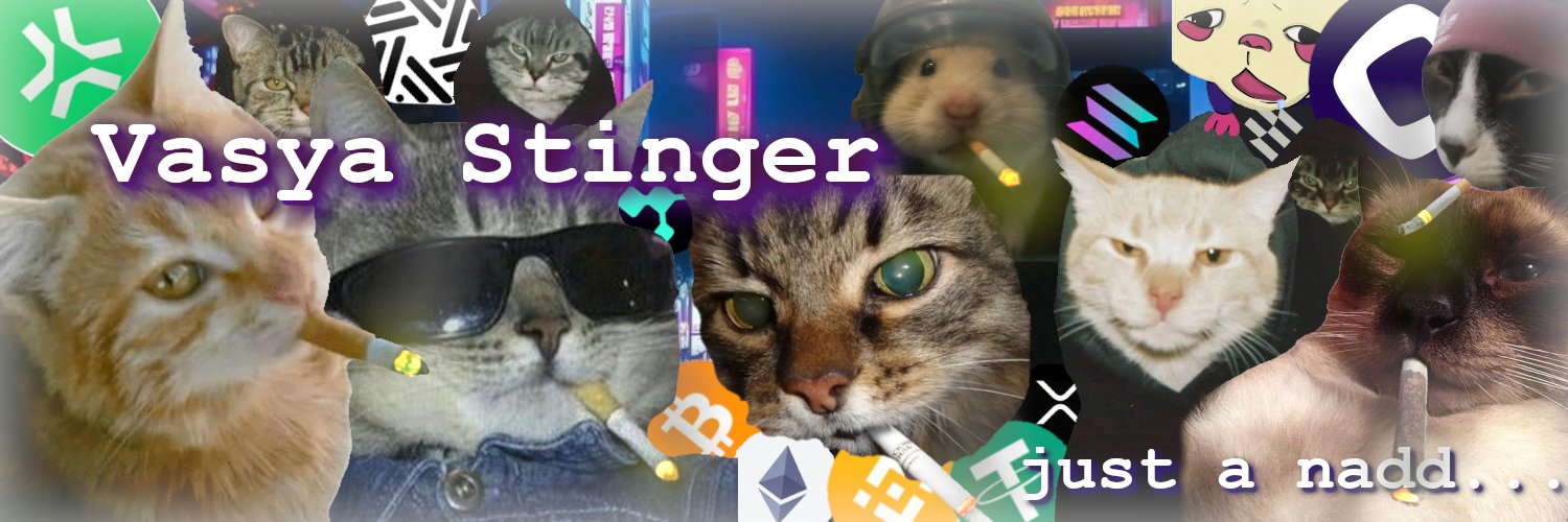 Vasya Stinger banner