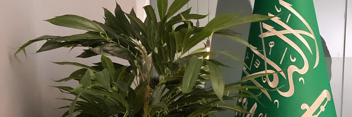 Sdeem ☢︎ banner