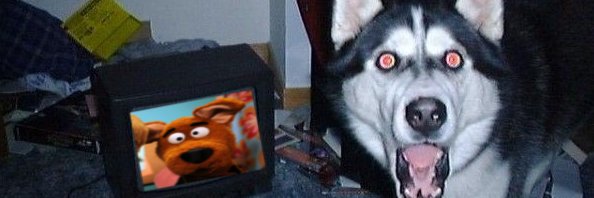 🍟 Fry 🍟 banner