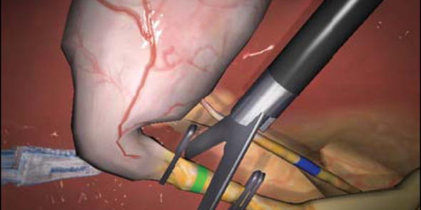 Surgical Simulation banner