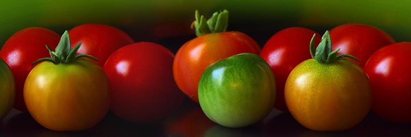 DPSFoodGroup Profile Banner