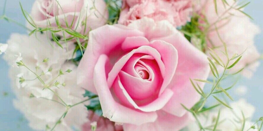 elham98941's profile banner image