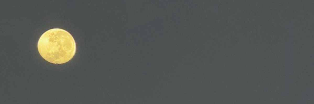 _flooorcide's profile banner image