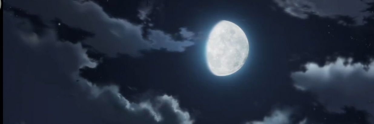 CassiBlancuzzi's profile banner image