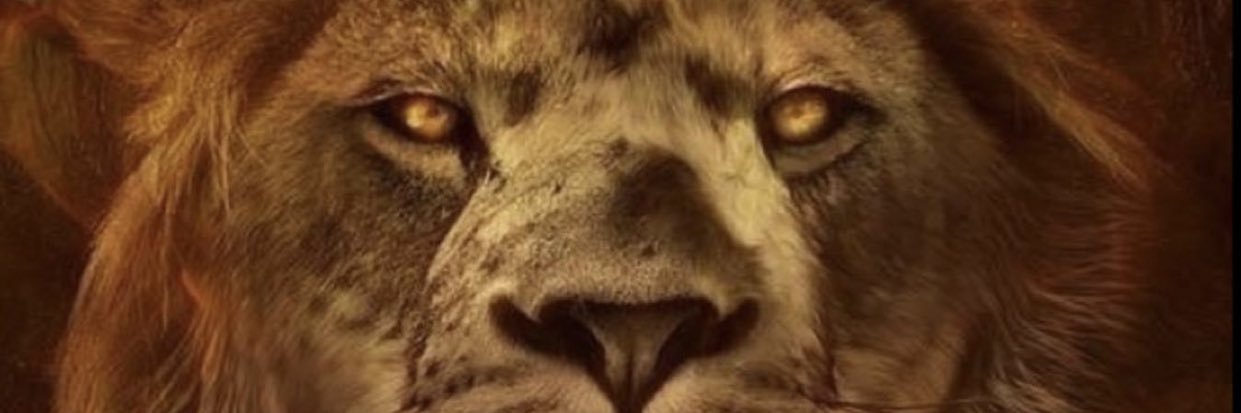 MikeRuss1212's profile banner image