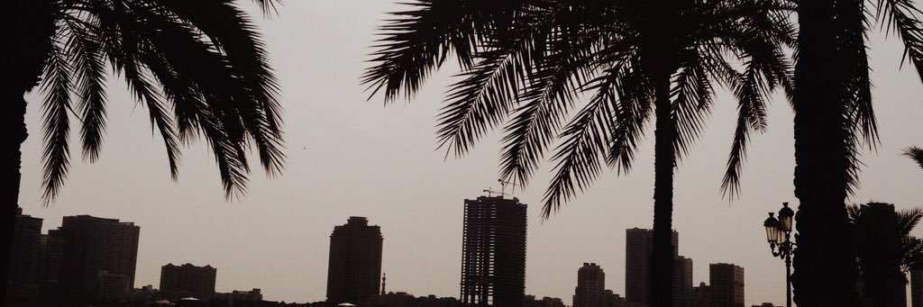 alinaslullaby's profile banner image