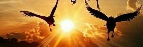 رفـيـق الـقـمــر 🌙✨ banner