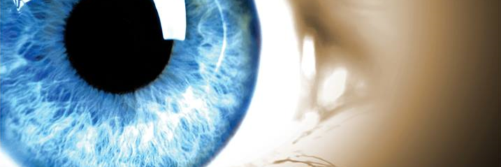 Absorb_This's profile banner image