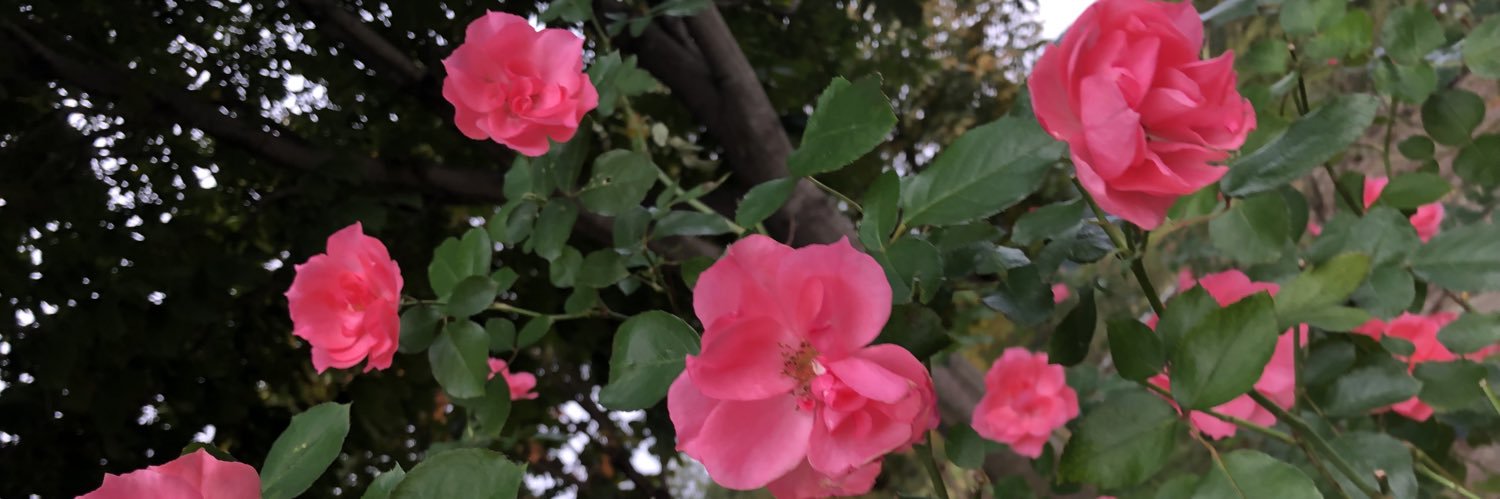 UniSke's profile banner image