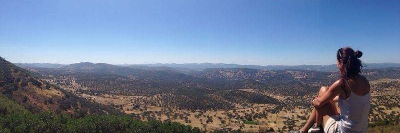 María Núñez banner