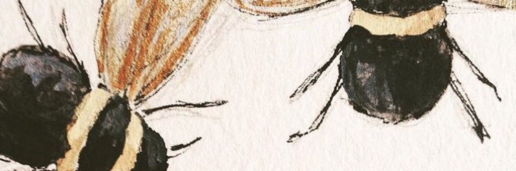 lavinia_nms's profile banner image