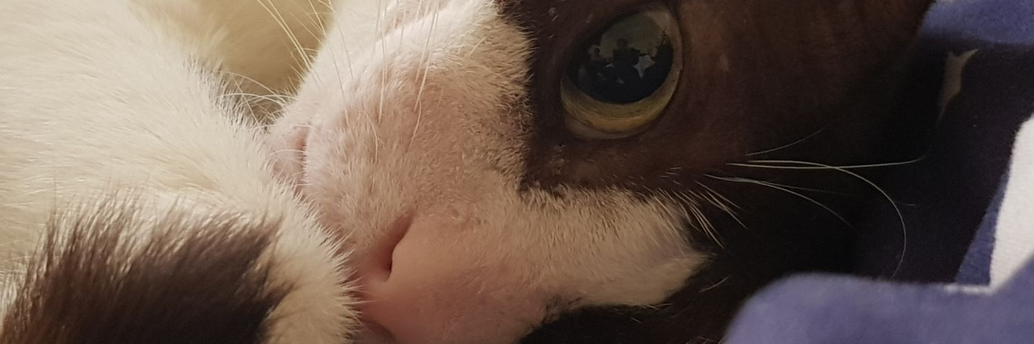 Vinaya Jaydev banner