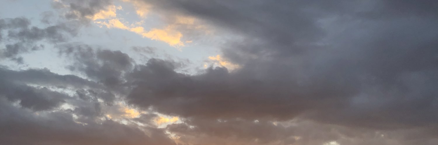 miyarethsc's profile banner image