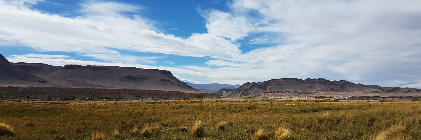 CONICET Documental banner