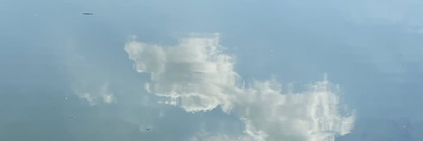 cltarv Profile Banner