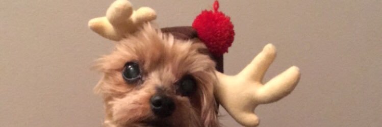 mikpushh's profile banner image