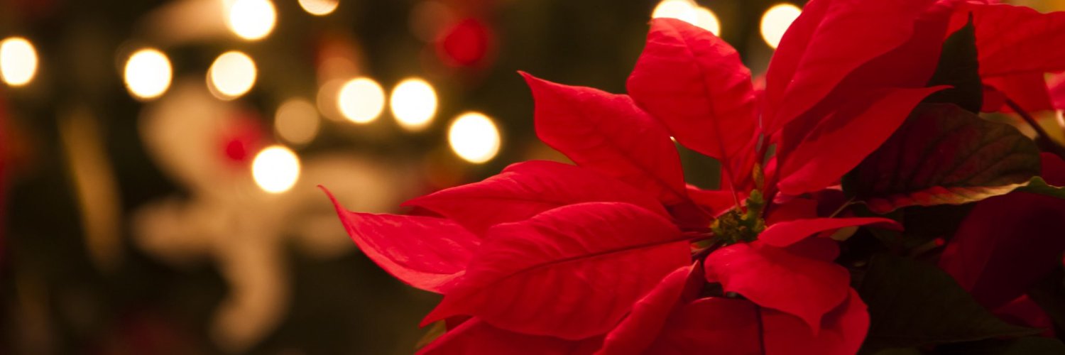Josss_1's profile banner image