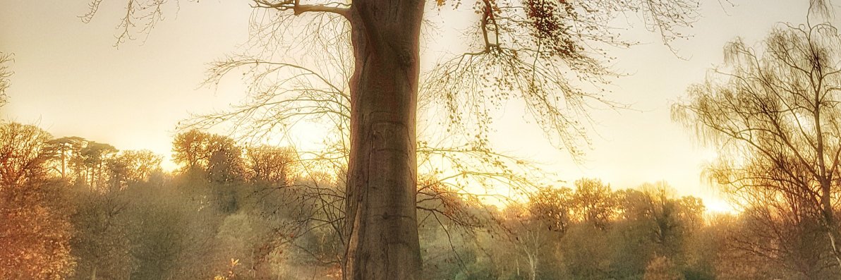 burgesst 🗿🪣 banner