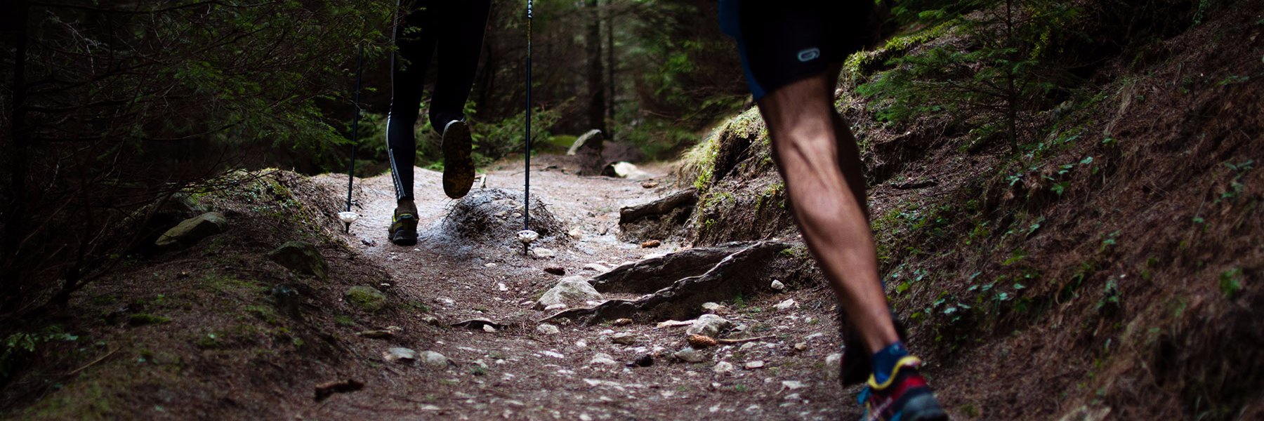 Mike Winterfield banner