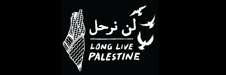 LenseOfFreedom's profile banner image