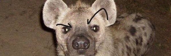 rawrkittyyy's profile banner image