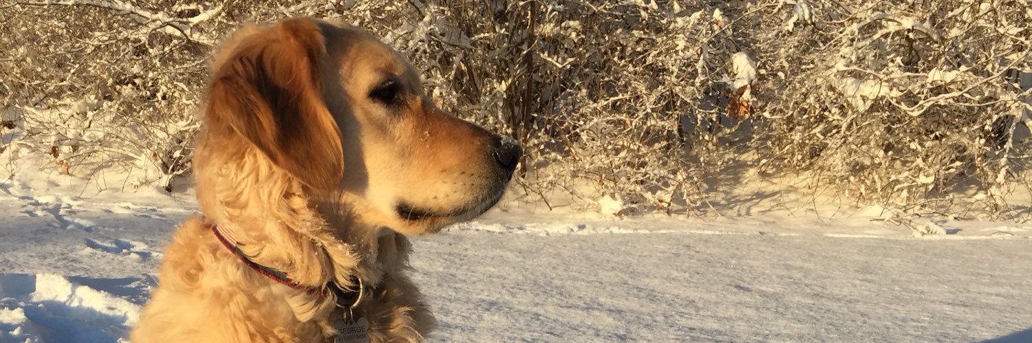 ercavanaugh's profile banner image