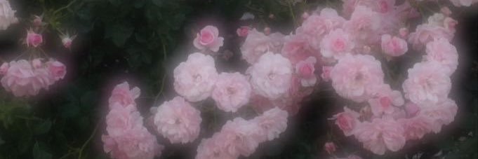 rwk_dl's profile banner image