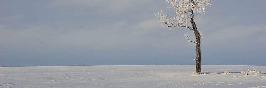 skyb1dq's profile banner image