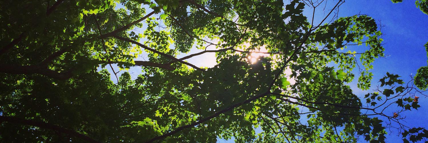 Michael Yoder banner